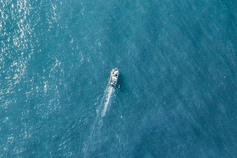 <b>官宣：戴思樂集團用戶中心重磅升級！</b>