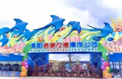 阜陽新添一個綜合性海洋公園，這個國慶長假別錯過啦！