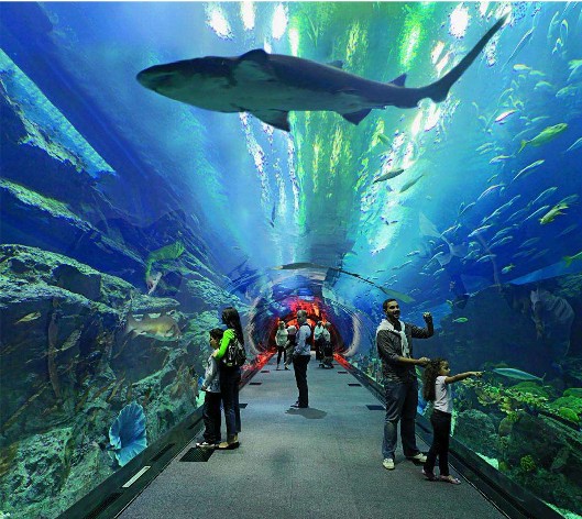 <b>海洋館水質(zhì)如何處理？水處理系統(tǒng)是關(guān)鍵！</b>