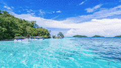 <b>是什么竟把“小而美”的泳池，變成了廣闊無垠的汪洋大海？</b>