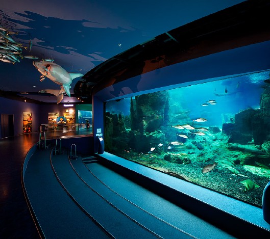 海洋館設(shè)計，海洋館設(shè)計要點，海洋館設(shè)計公司