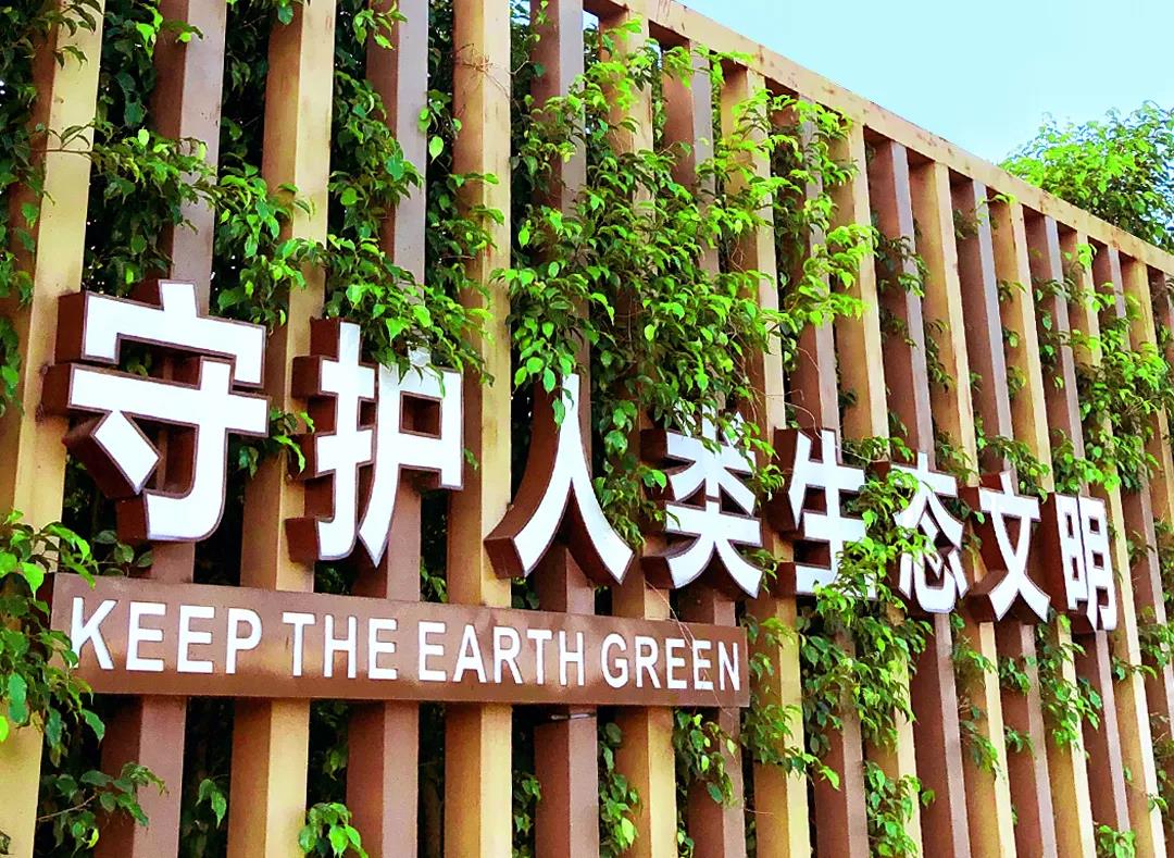 戴思樂董事長專訪，戴思樂水處理技術(shù)，戴思樂泳池設(shè)備