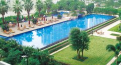 泳池水渾濁怎么辦？