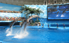 海洋館里的水怎么過濾？