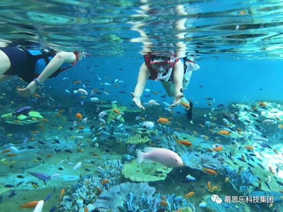 海洋浮潛館，海洋館設(shè)備