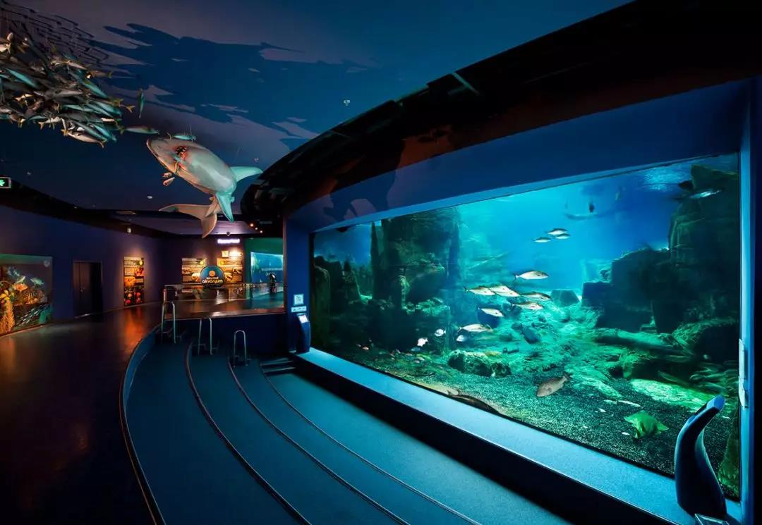 海洋館水質(zhì)處理公司哪家好？