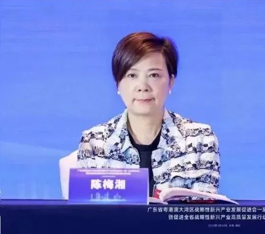 戴思樂(lè)陳梅湘董事長(zhǎng)當(dāng)選大灣區(qū)戰(zhàn)新會(huì)副會(huì)長(zhǎng)