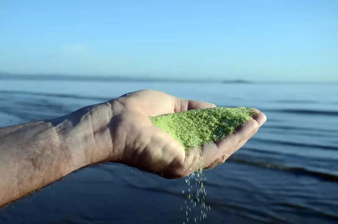 AFM?濾料和普通玻璃濾料有什么區(qū)別？