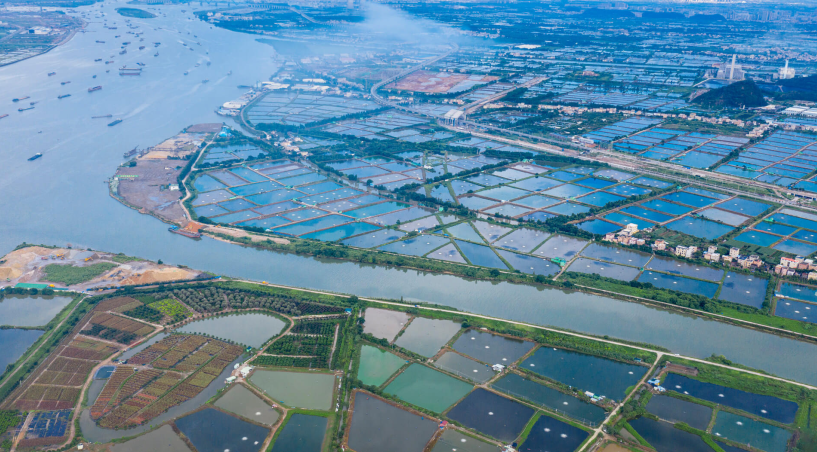 魚塘尾水治理新篇章，戴思樂為您解鎖綠色漁業(yè)養(yǎng)殖的秘密！