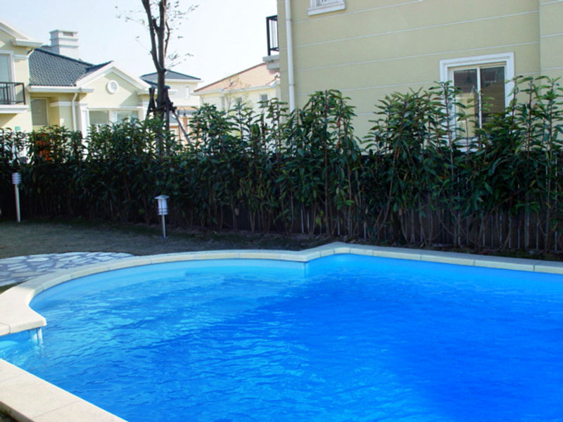 <b>游泳池水質(zhì)處理關鍵技巧，快速解決水質(zhì)不達標、藻類滋生難題！</b>